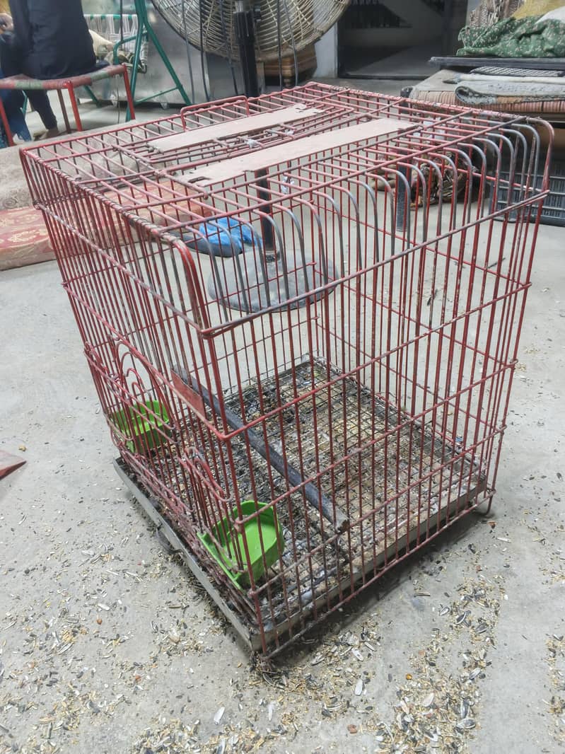 Medium Cage Size 1