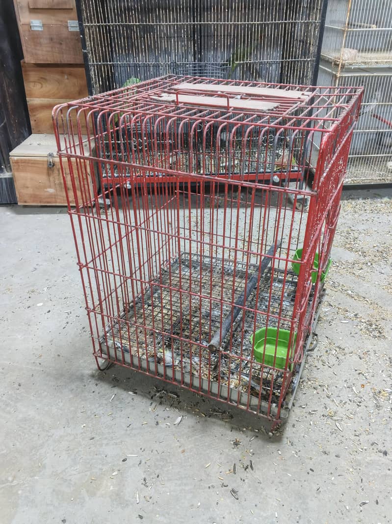 Medium Cage Size 2