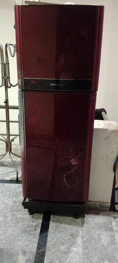 Hair fridge full size compreser not working