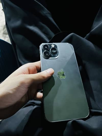 Apple iPhone 13 Pro Max