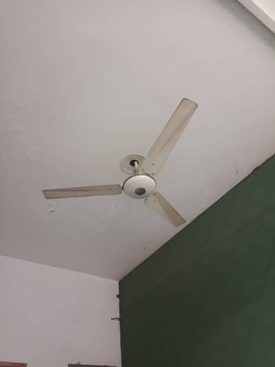 Younis celling fan for sale