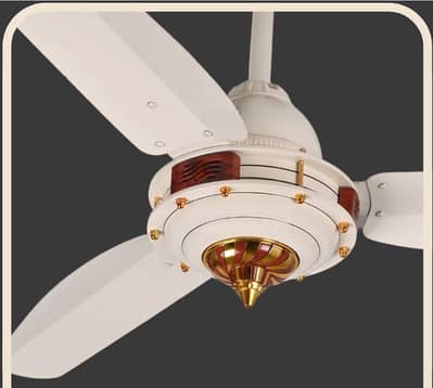 Ceiling fans