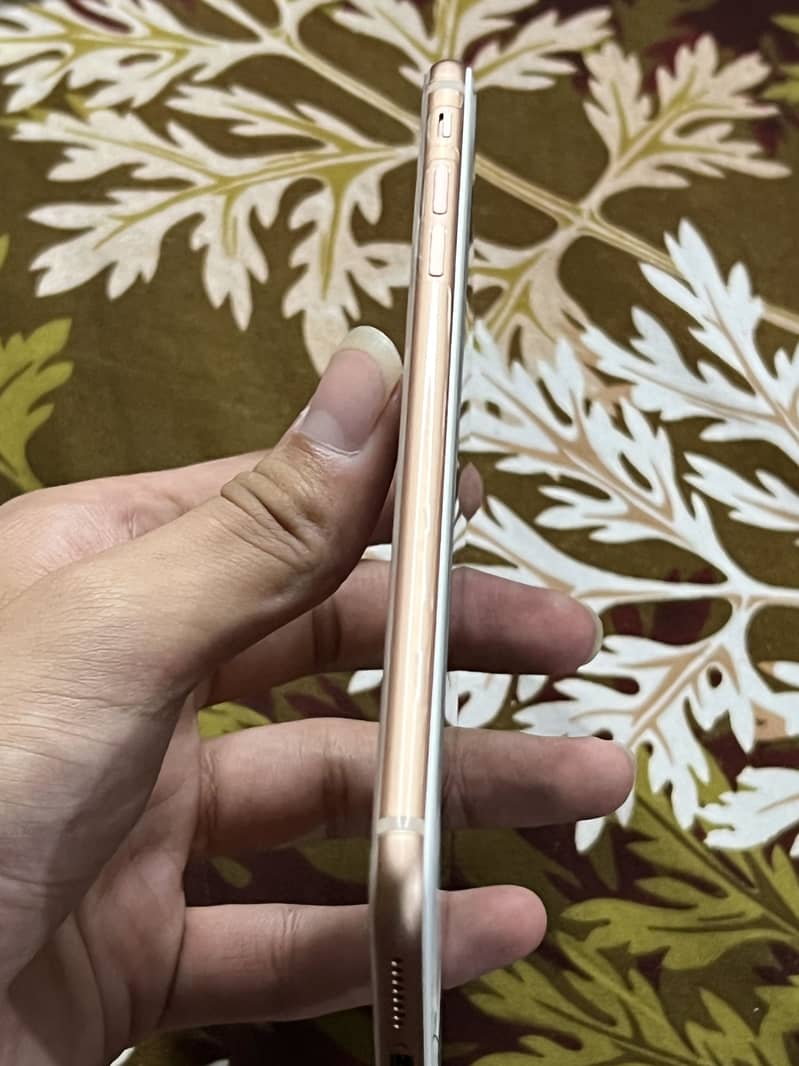 Apple iPhone 8 Plus 1