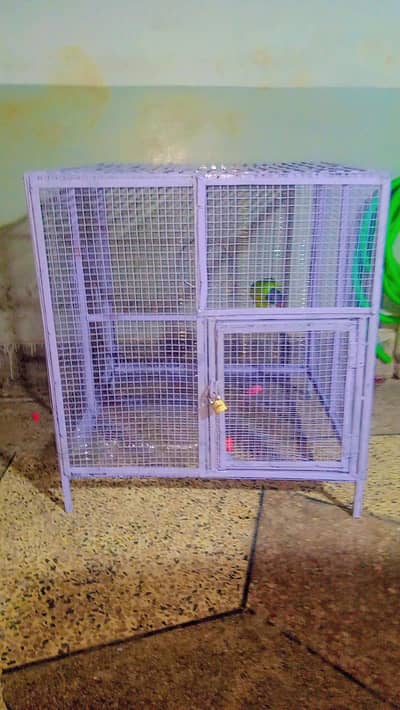 only Cage for sale