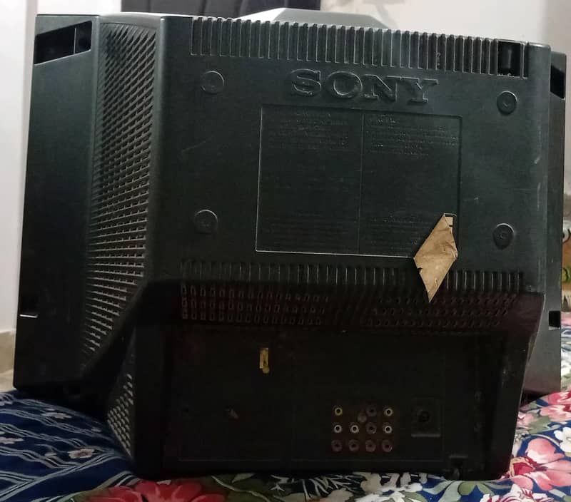 Television 1