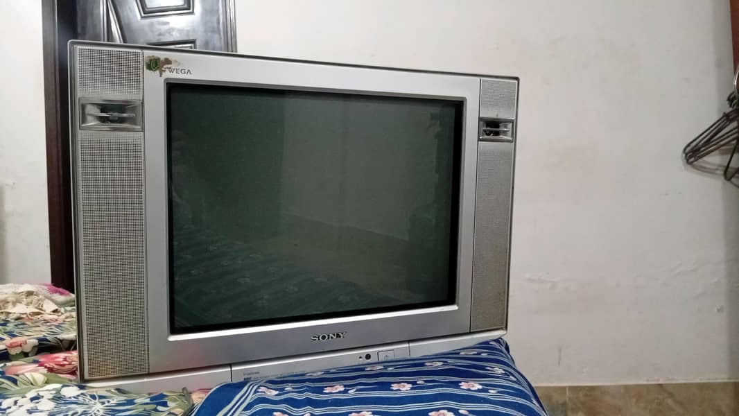 Television 5