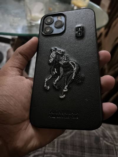 Apple iPhone 12 Pro Max