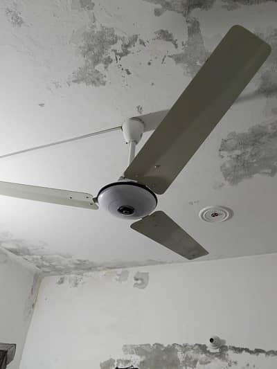 1 ceiling fan