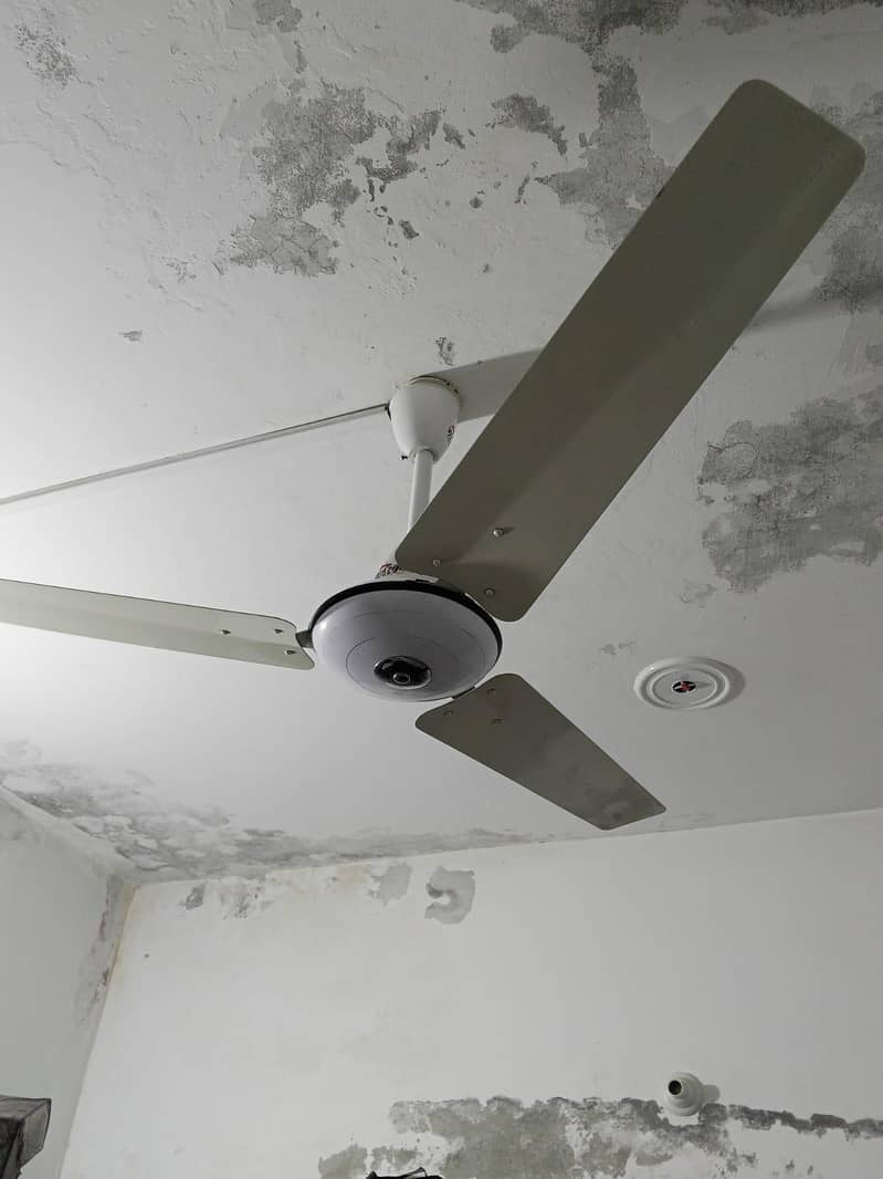 2 ceiling fan 3