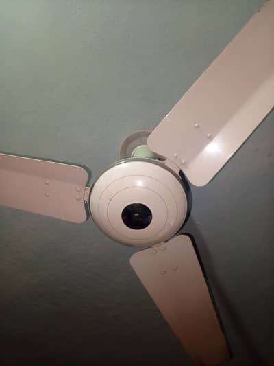 pak fans best copper winding