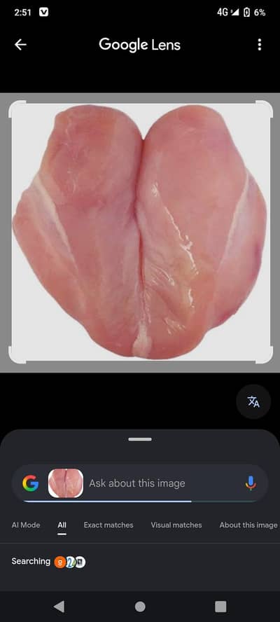 Assalamualaikum chicken boneless available
