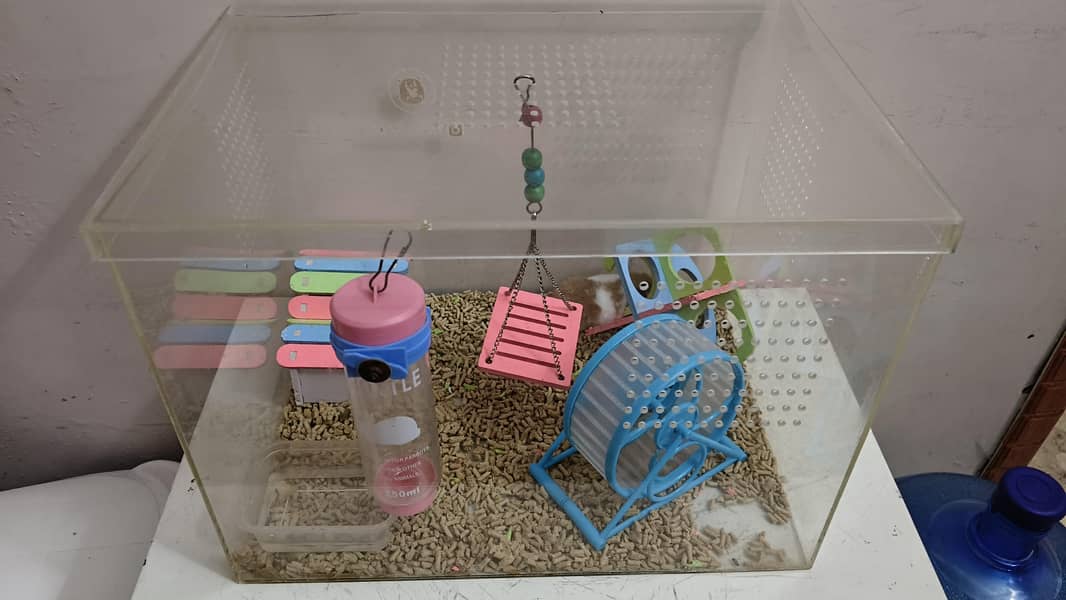Hamster with Complete setup 0