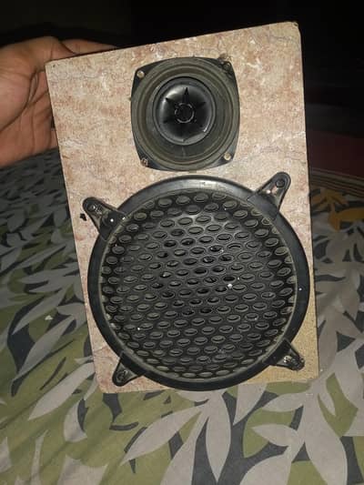 Speaker