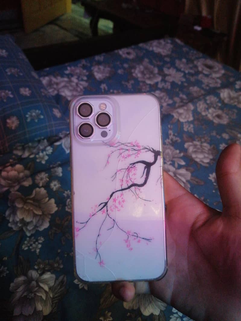 Apple iPhone 12 Pro Max 0