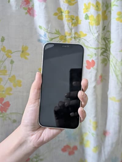 Apple iPhone 12