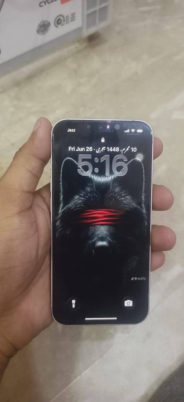 Apple iPhone 13 0