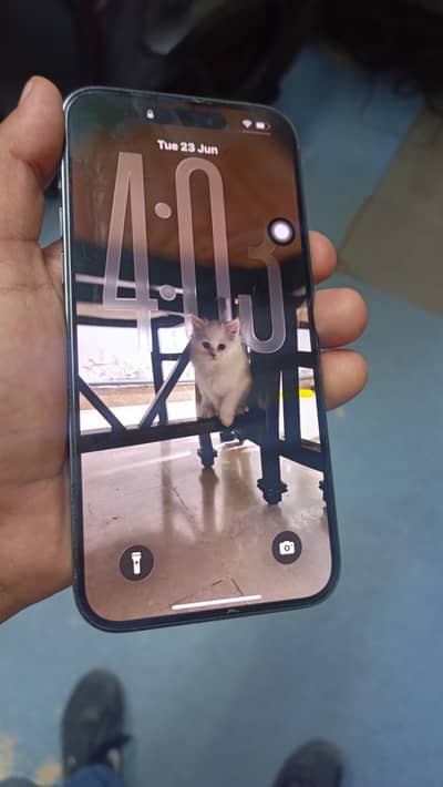 Apple iPhone 14 Pro Max