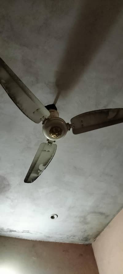 Royal ceiling fan condition 10/10