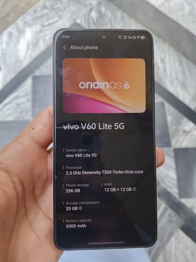 Vivo V60