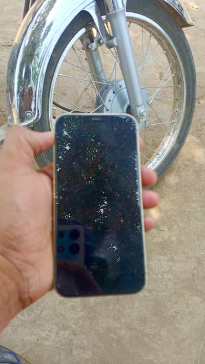 Apple iPhone 12 Pro Max