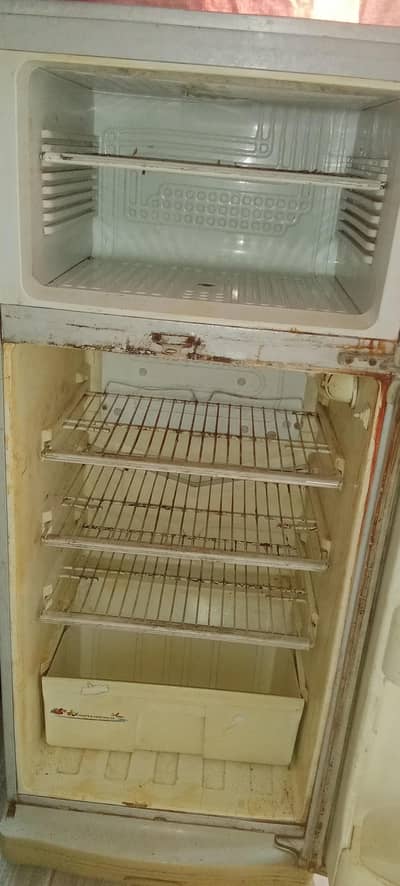 pel refrigerator