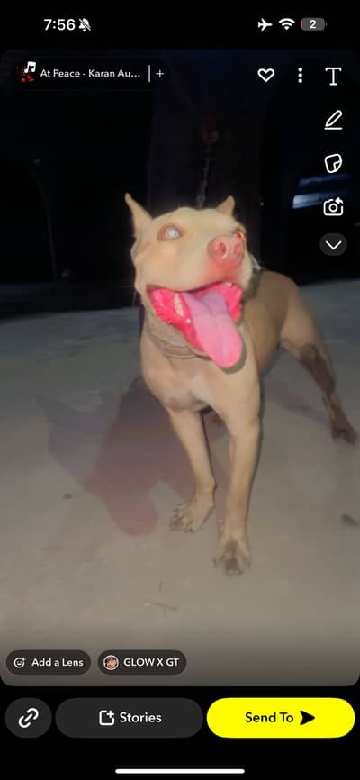 Urgent for sale