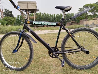 CRAZY CYCLE