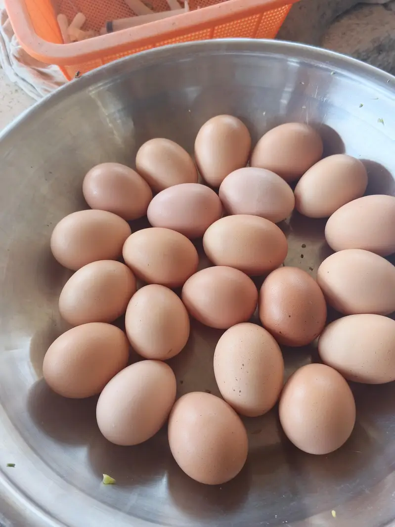 organic brown eggs sale — photo 3