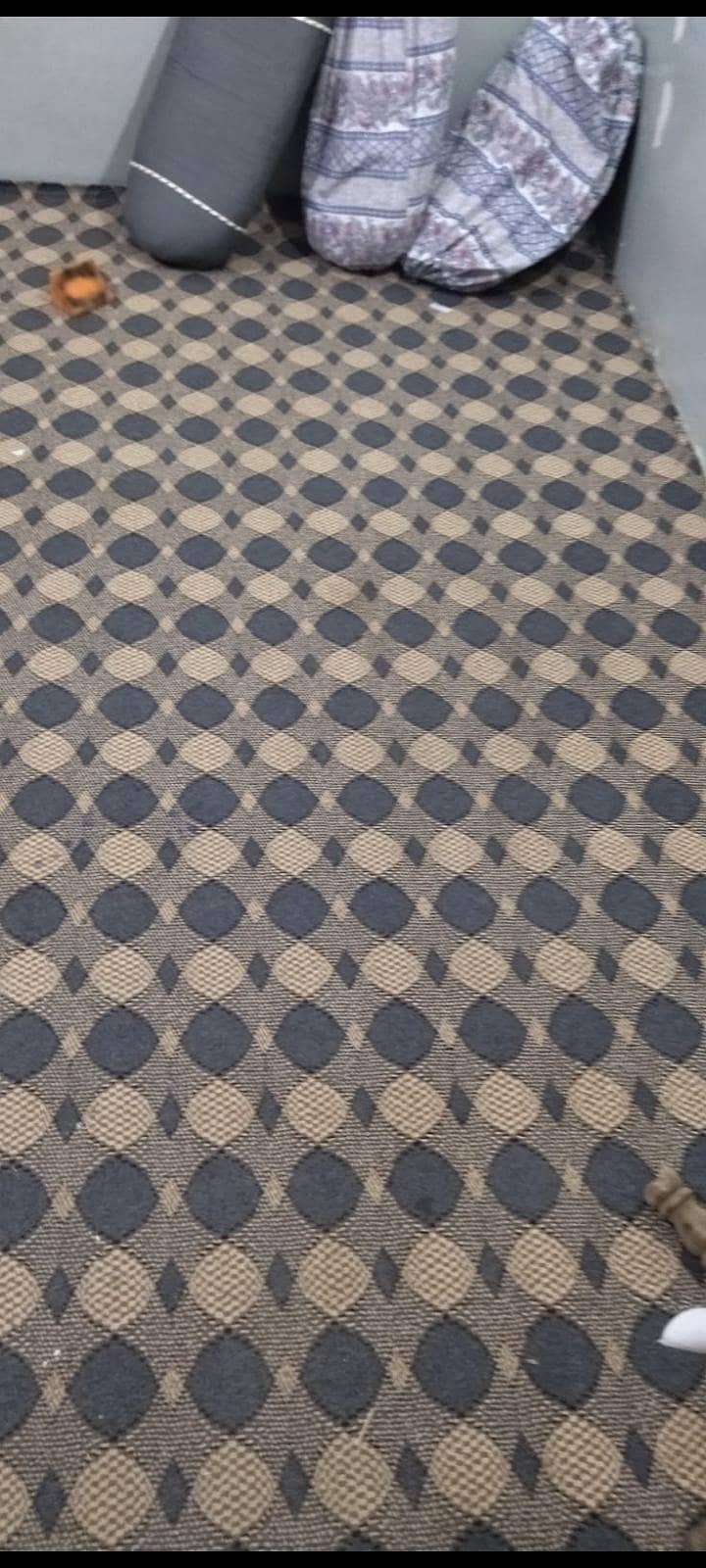 Beautiful Carpet 1