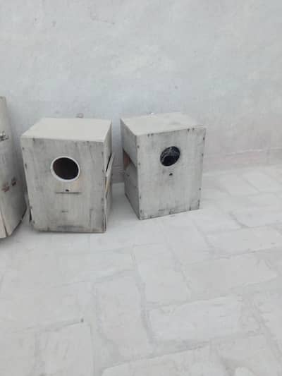 Breeding boxes for Ringneck and Cocktails