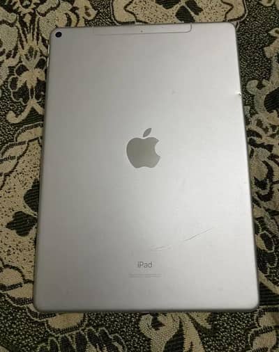 i pad air 3 256 GB panel break