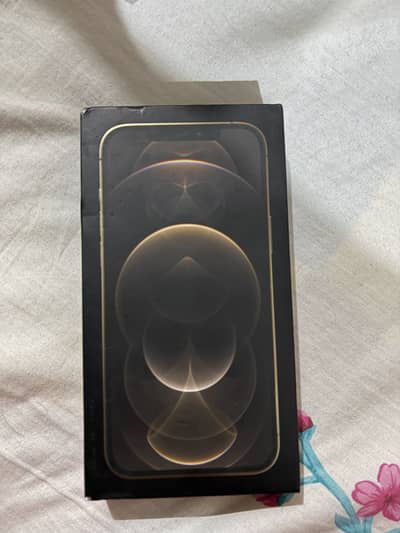 Apple iPhone 12 Pro Max HK Variant