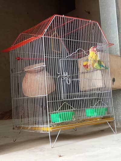 loteno baridar pairs with cage box ore aak female bhee Seth dunga