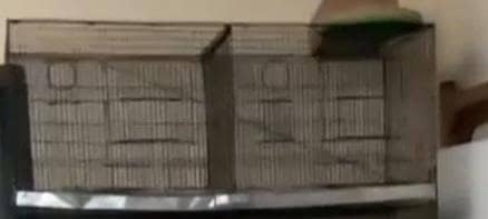 2 Cage