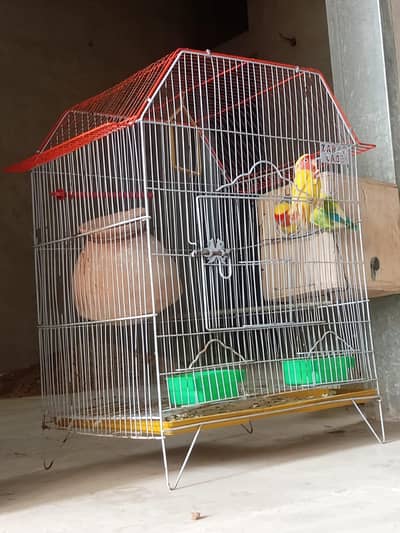 loteno baridar pairs with cage box ore matki k sath