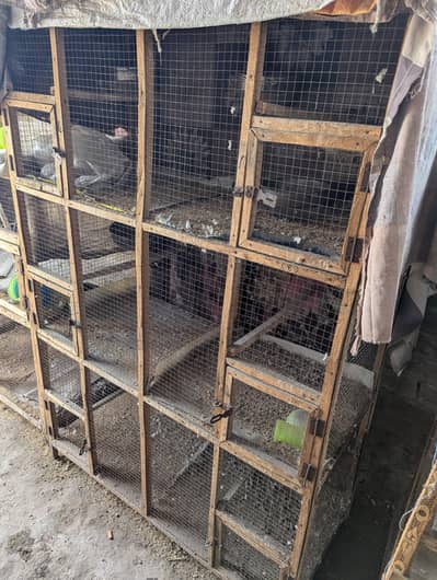 wooden cages folding cages full angle cages