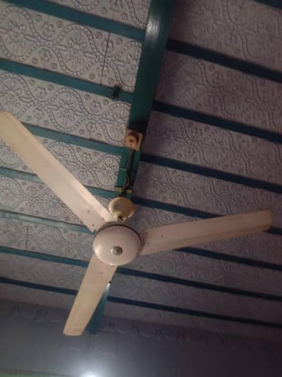 02 ceiling fans