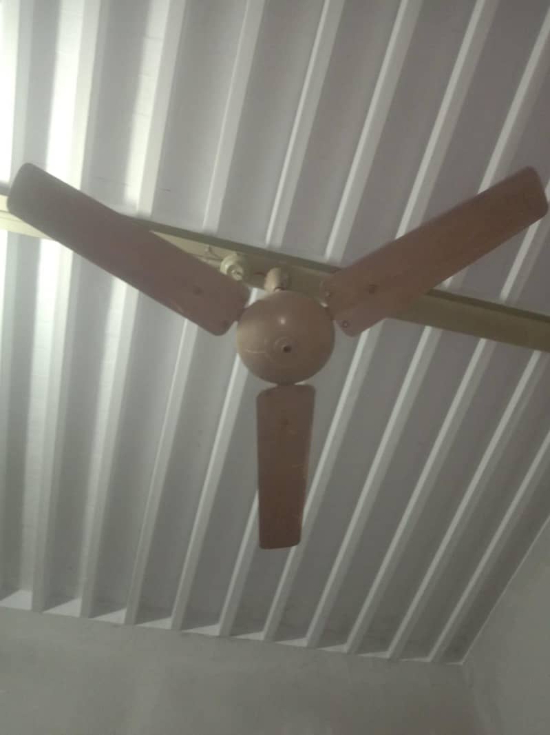 02 ceiling fans 1