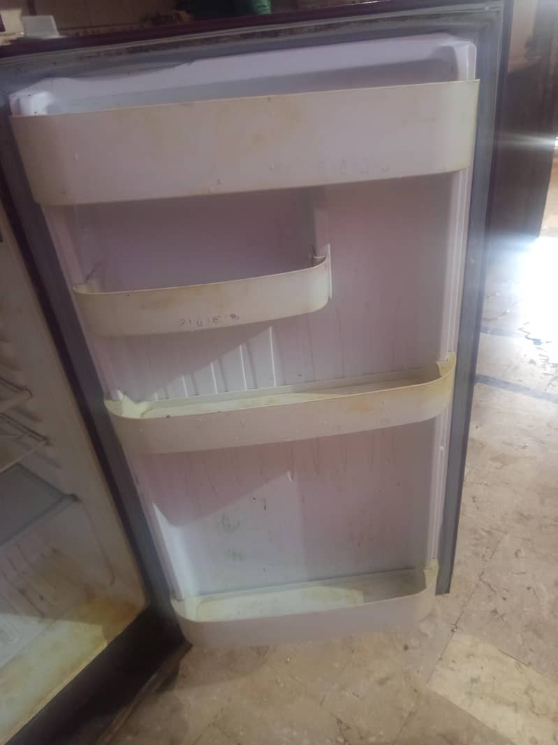 medium size 3