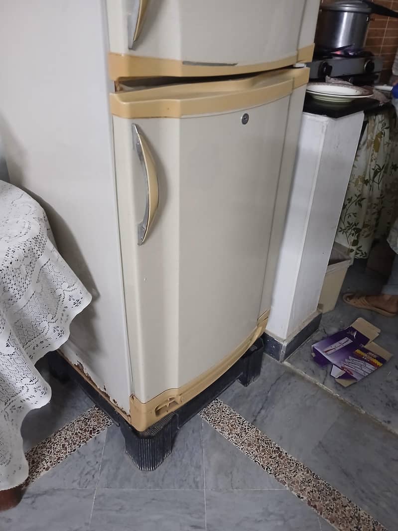 Pel Fridge 0