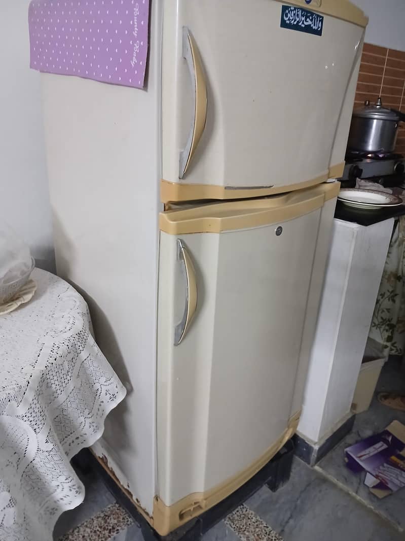 Pel Fridge 1