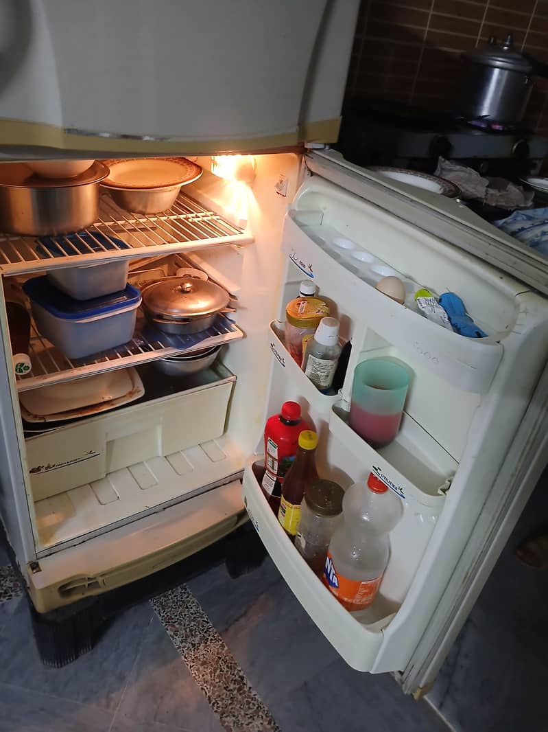 Pel Fridge 2