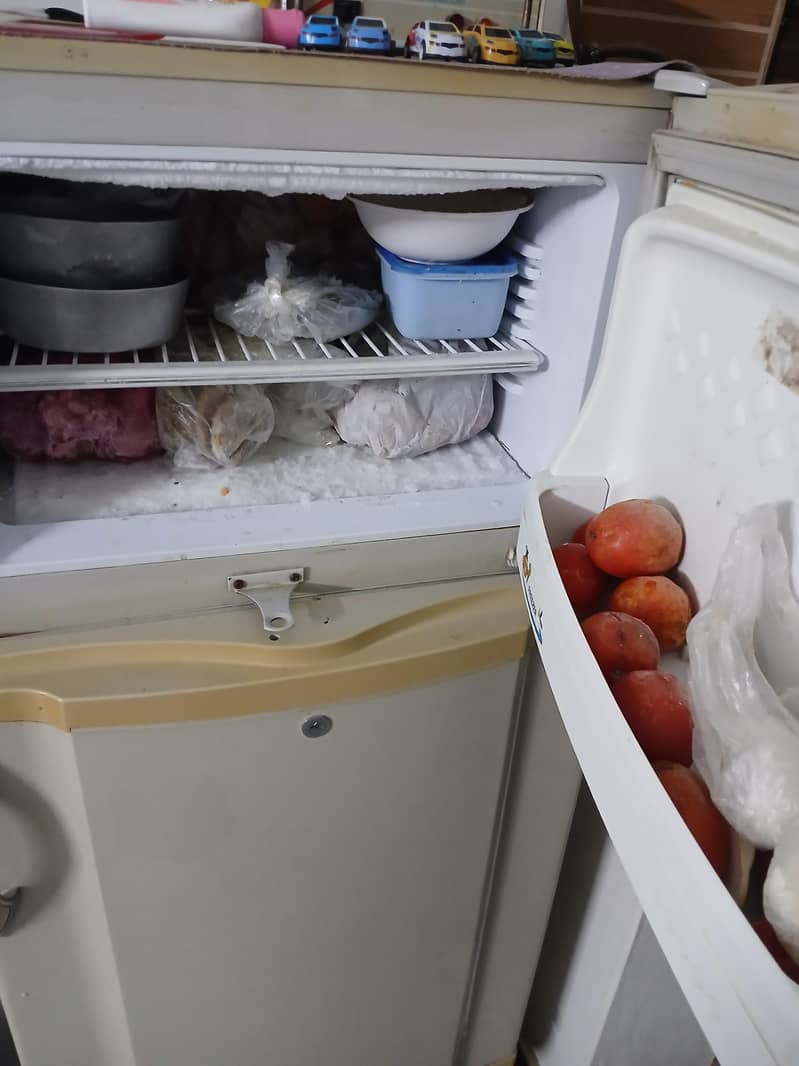 Pel Fridge 3