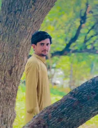 Saifullah 