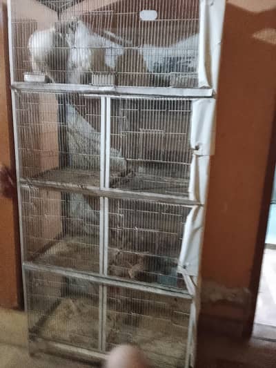 heavy and strong cage