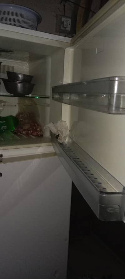 Full-size fridge all OK