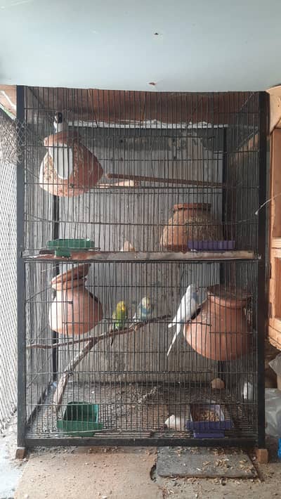 Iron Cage (24 inches × 35 inches)