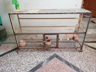 Birds Pinjara