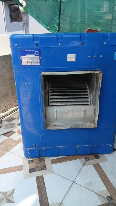 arani cooler