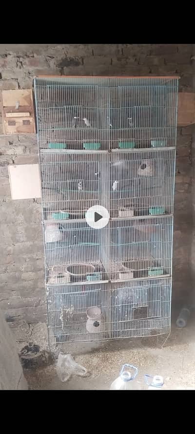 8 breading pair of Jawa mix white grey and silver 1 bajri pair all set